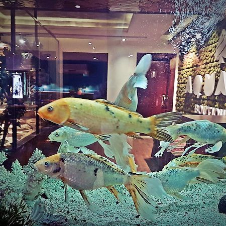 Aquarium Hotel リヤード エクステリア 写真